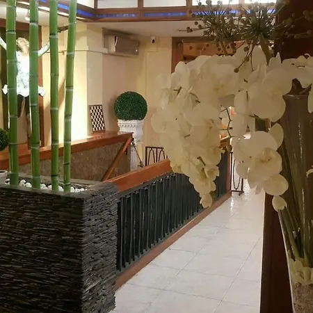 Hotel Hospedium Restaurant Travé 3*